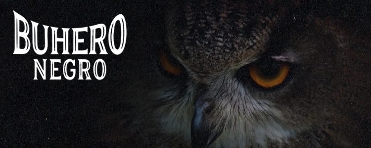Casos-exito_buhero